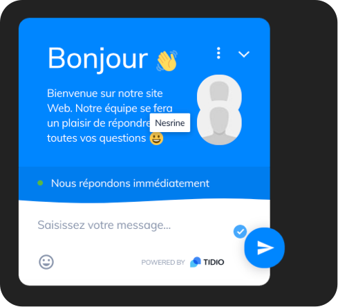 Chatbot mis en place sur Ingenova - Tidio